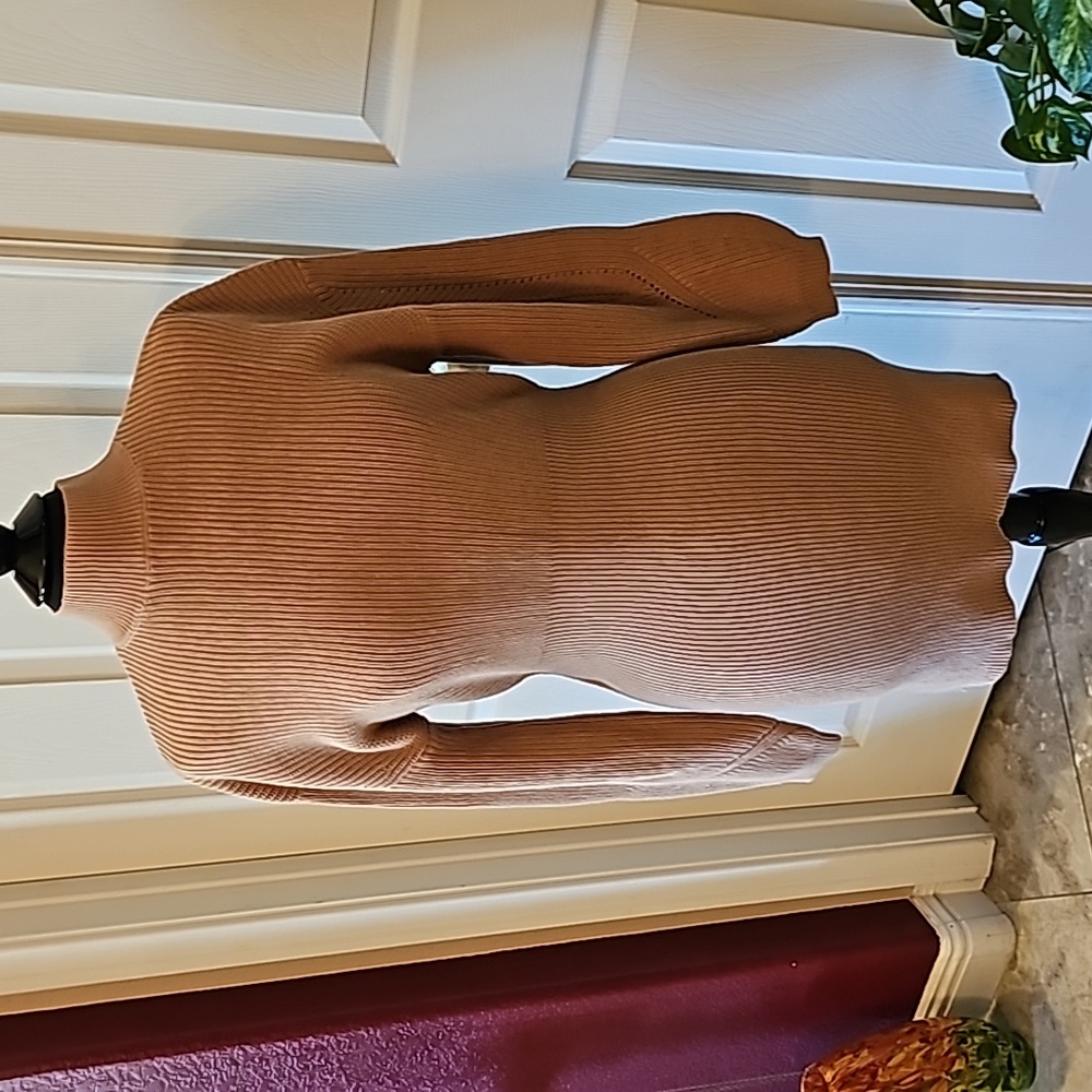 Tan sweater dress.  Mock neck.